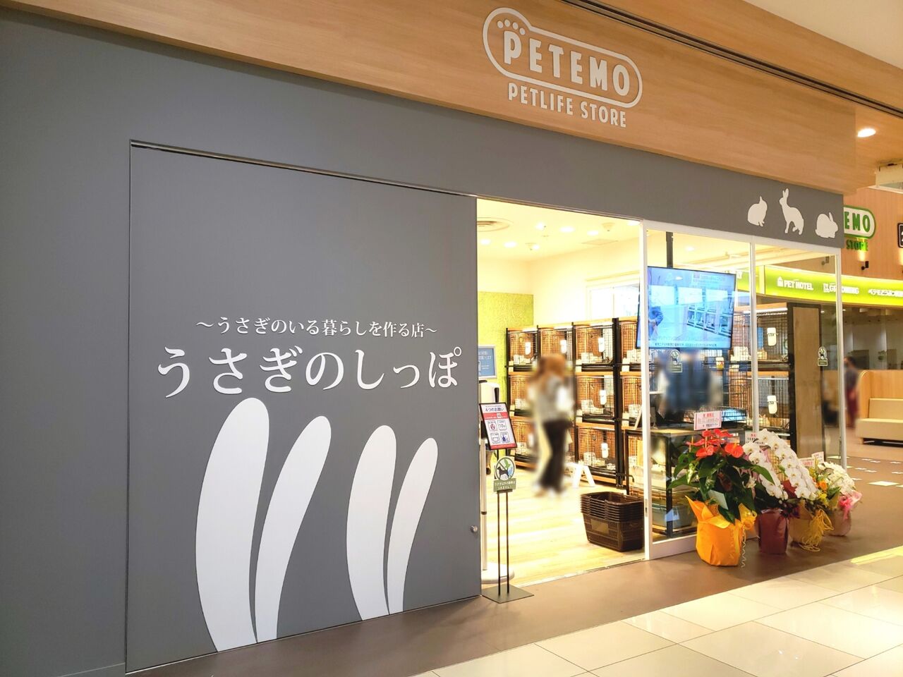 千葉初出店 美浜区豊砂 イオンモール幕張新都心 に うさぎのしっぽ なるうさぎ専門店がオープンしてる ちば通信 千葉県千葉市の地域情報サイト 千葉初出店 美浜区豊砂 イオンモール幕張新都心 に うさぎのしっぽ なるうさぎ専門店がオープンしてる ちば通信 千葉県千葉市の地域情報サイト