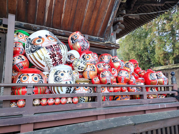 daruma