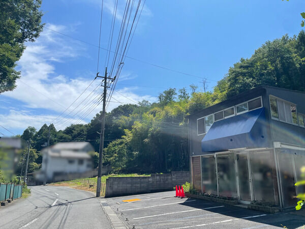 81499657-s