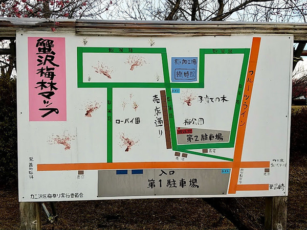 misatoumematsuri_6