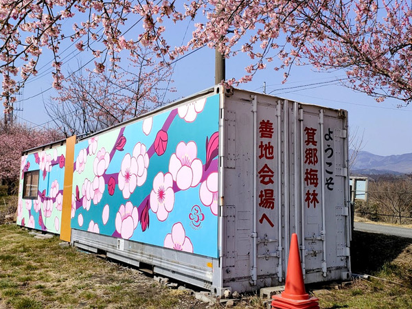 umenohana2023_19