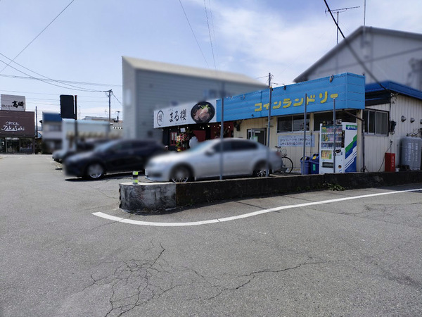 maruzaakura_4