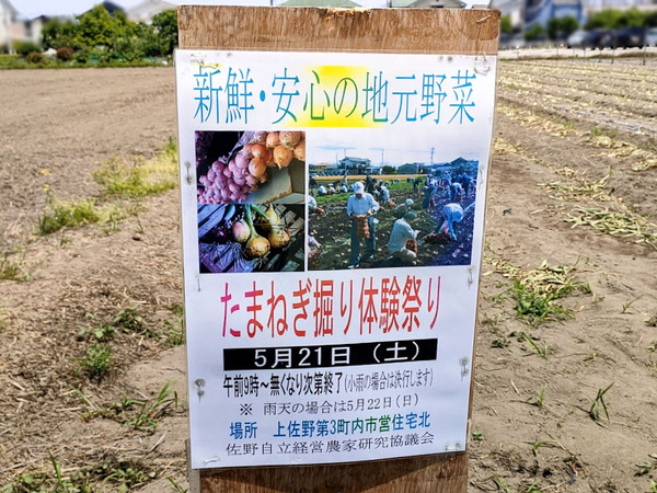 tamanegihori_5