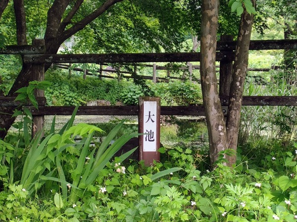 hotaru-spot_7