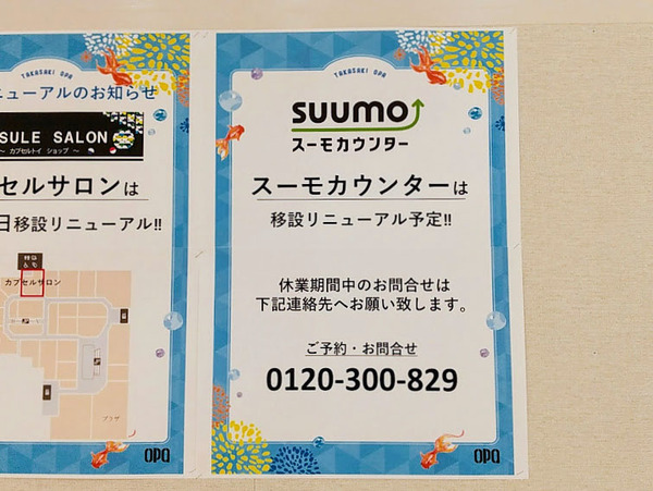 dedegumo_8