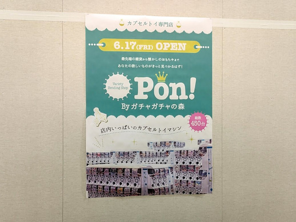 pon_6