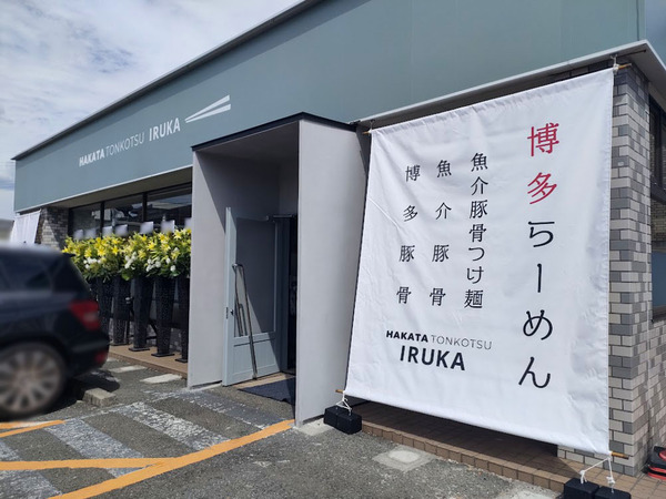 iruka_1