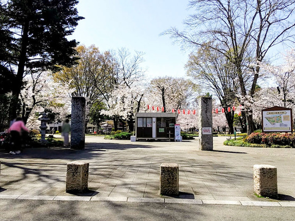 sakura2021_7