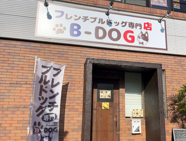 b6c145ff