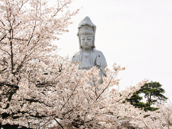 sakura2021_10
