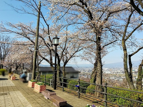 Point Blur_20200326_181612