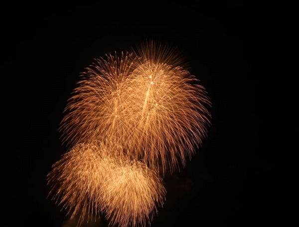 30066595_s