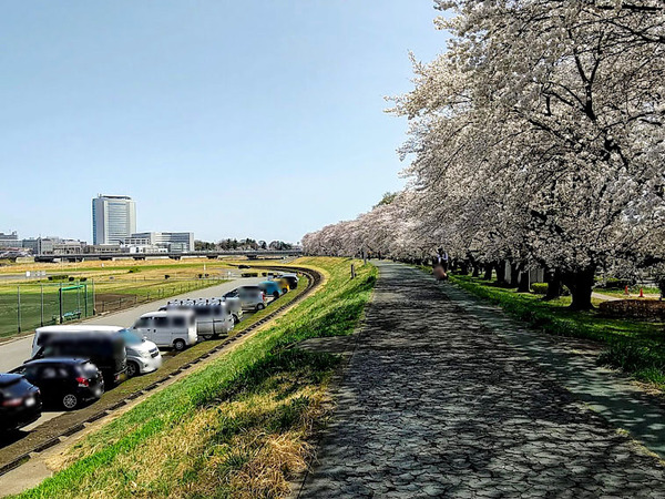 sakura2021_11