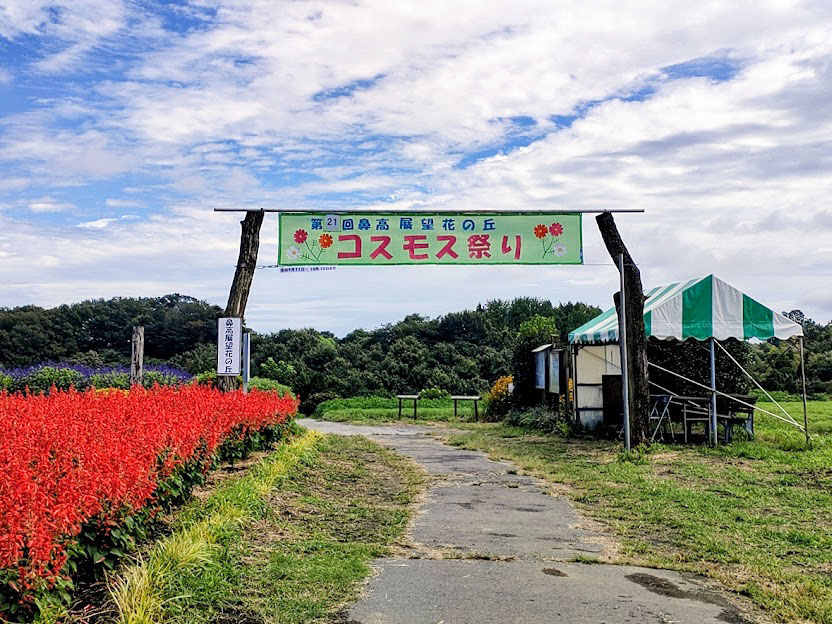 コスモスは間もなく見頃 サルビアや百日草も開花中 鼻高展望花の丘 で コスモス祭りin21 開催 9月11日 10月10日 9月9日撮影 たかさき通信 群馬県高崎市の地域情報サイト コスモスは間もなく見頃 サルビアや百日草も開花中 鼻高展望花の丘 で コスモス祭りin21 開催 9月11日 10月10日 9月9日撮影 たかさき通信 群馬県高崎市の地域情報サイト