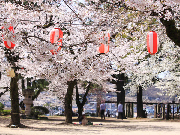 sakura2021_8