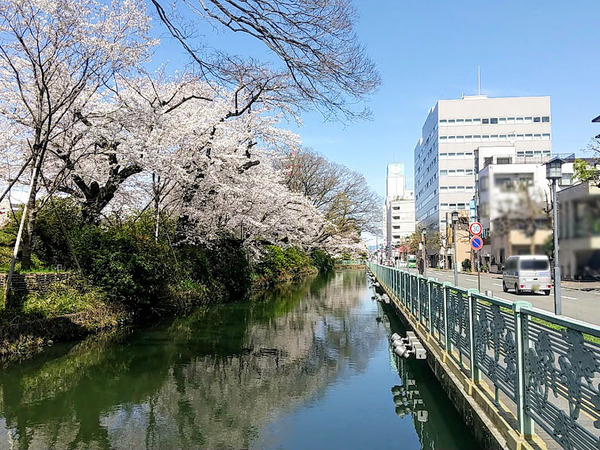 sakura2021_5