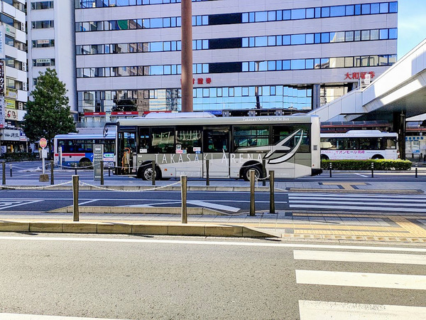 bus