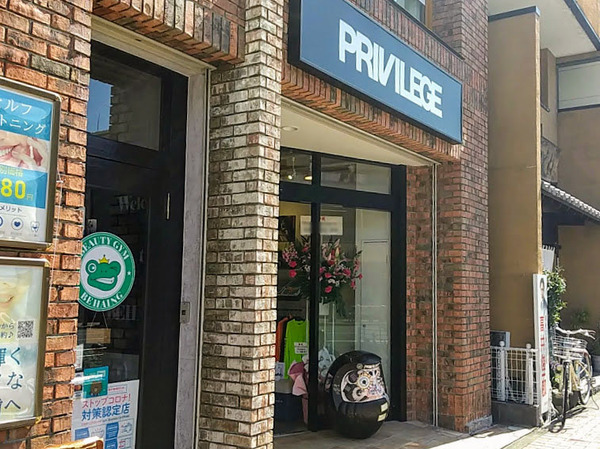 privilege_8