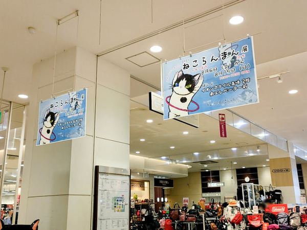 nekoranmanten_1