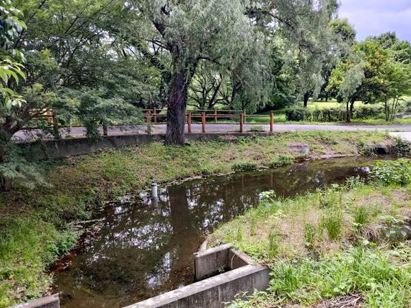 hotaru-spot_5