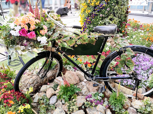 takasaki-flower-pageant_9