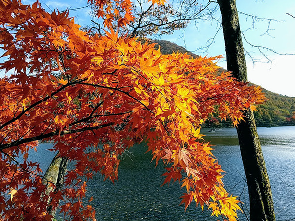harunasan-koyo_5