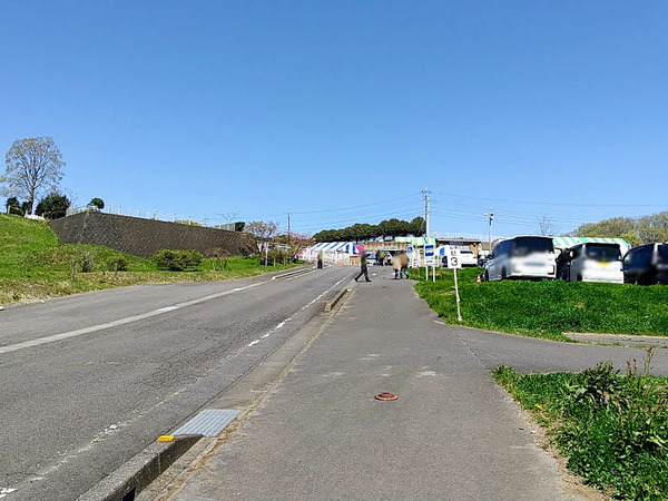 misatoshibazakura_3