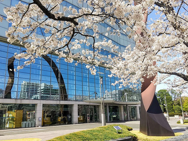 sakura2021_4