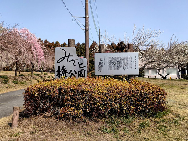 umenohana2023_9