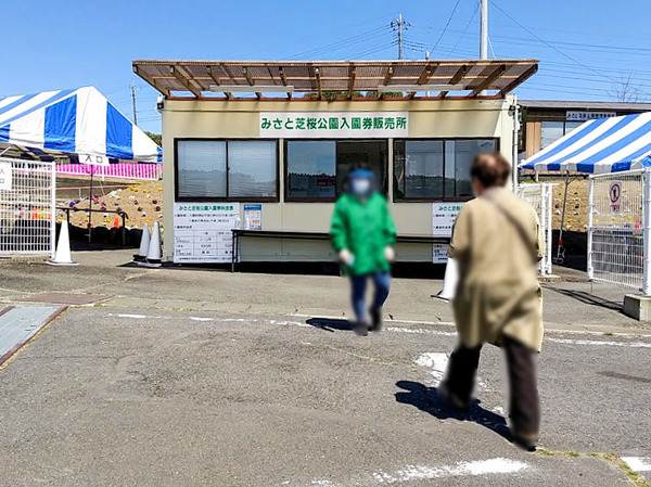 misatoshibazakura_4