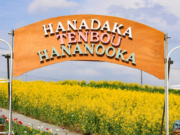 nanohana2023_1