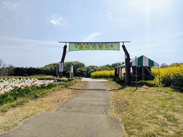 nanohana2023_2