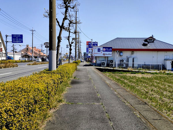 motsujiro_4