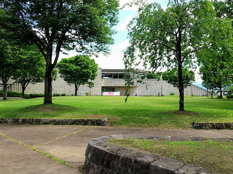 【中古】 サルサな日々を/日本文学館/宮澤緑 Amazon.co.jp: 図説 宮澤賢治 (ちくま学芸文庫 ミ 18-1) : 天沢