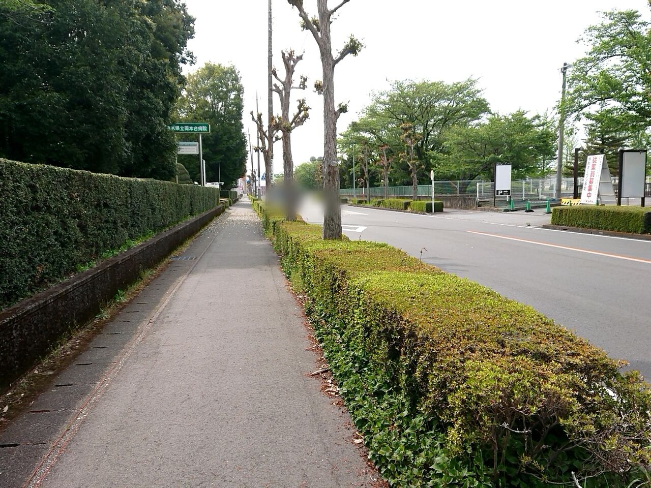 店 とりせん 岡本