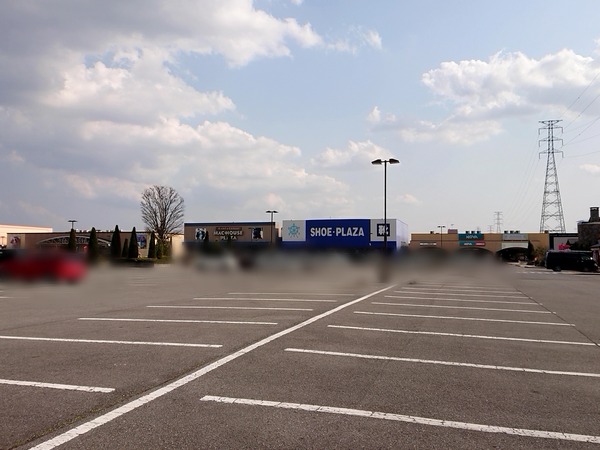 Point Blur_20200408_153002