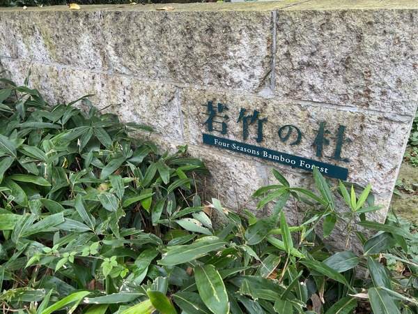 5ed04266