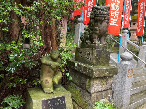 IMG-4665