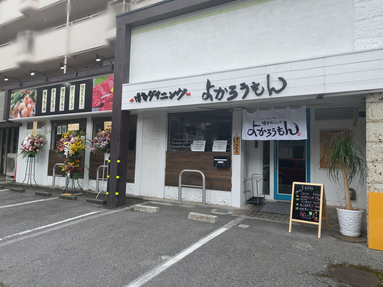 下戸祭に居酒屋 博多ダイニング よかろうもん がオープンしてる 元 カフェ アンフィル だったところ うつのみや通信 栃木県宇都宮 市の地域情報サイト 下戸祭に居酒屋 博多ダイニング よかろうもん がオープンしてる 元 カフェ アンフィル だったところ うつのみや通信 栃木県宇都宮 市の地域情報サイト