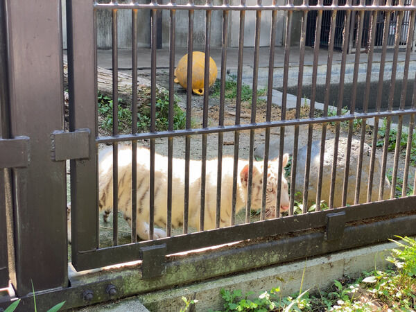 宇都宮動物園1