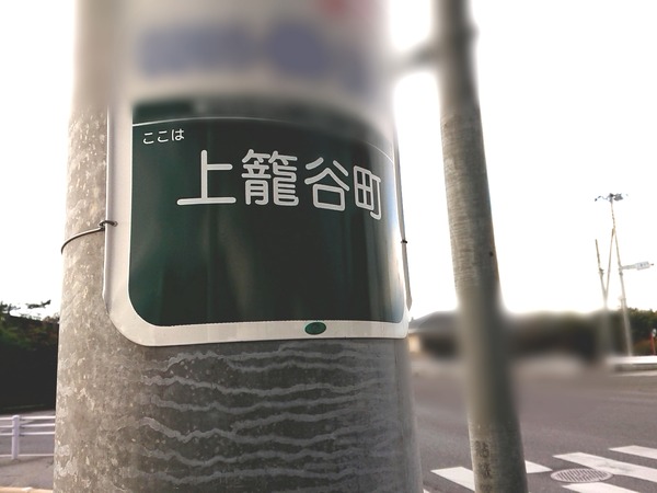 Point Blur_20200423_181228