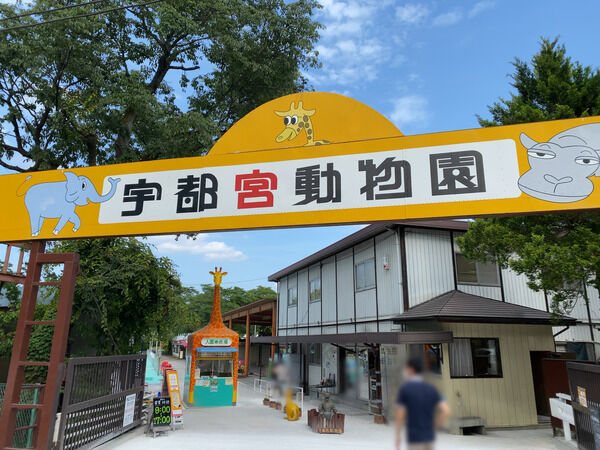 34d459a3-s