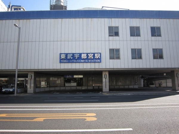 23332493_s