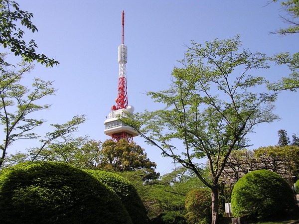 1047433_m