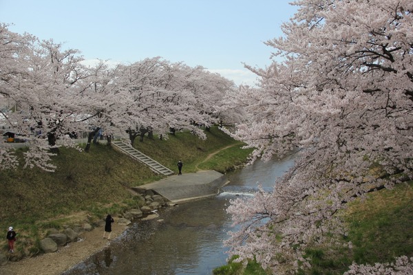 藤田川