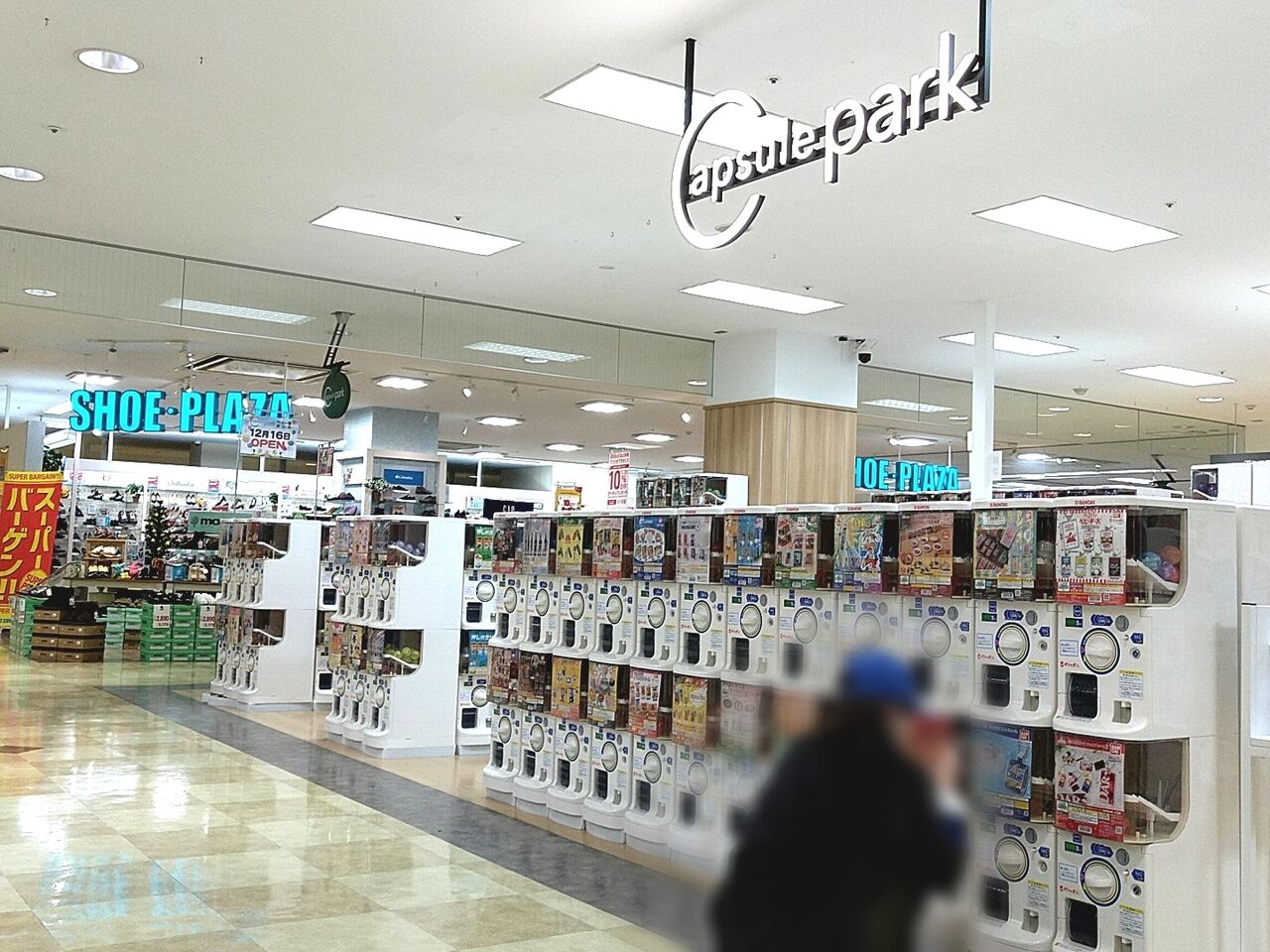 ザ モール 郡山 店