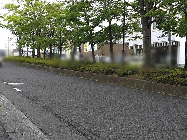 Point Blur_20230629_164829