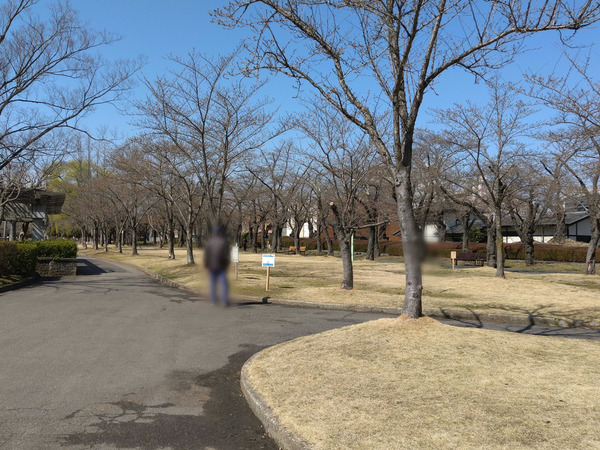 Point Blur_20210324_162028