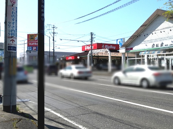 Point Blur_20230410_202450