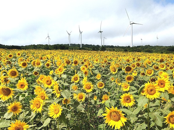 Point Blur_20200827_140935[1]